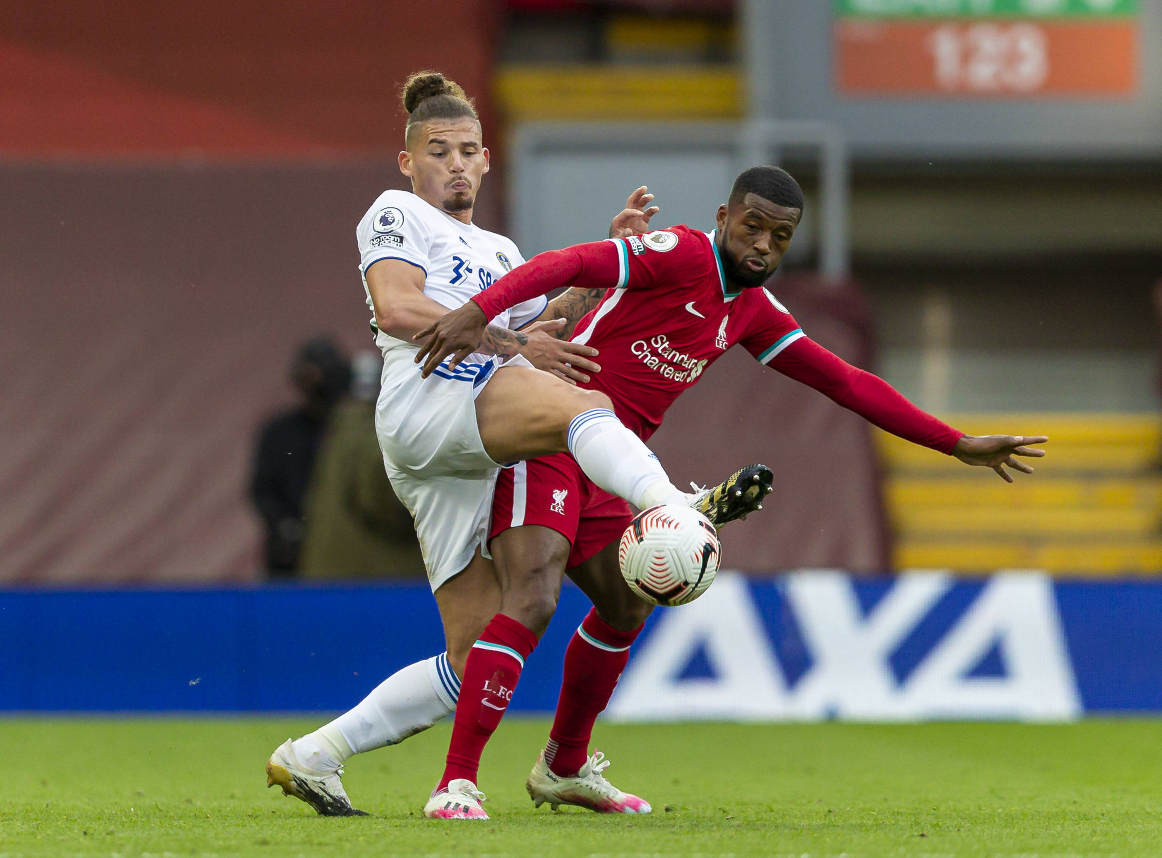 新活力的中 新活力的中